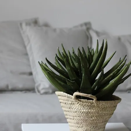 Apartmán Palazzo Caltagirone *